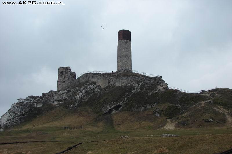 XXIII Ogólnopolska pielgrzymka przewodnicka na Jasną Górę. Zamek w Olsztynie, Pustynia Błędowska