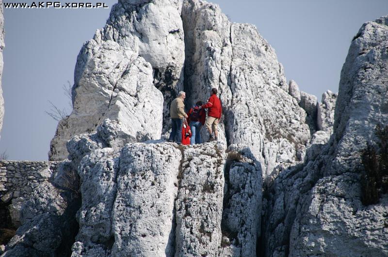 Jura Krakowsko – Częstochowska