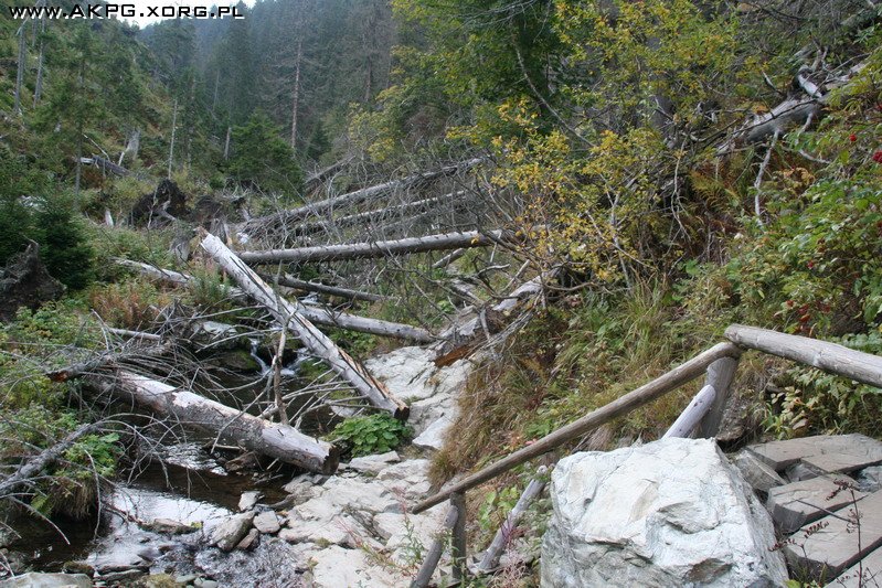 Wycieczka w Sudety, Grupa Pradziada